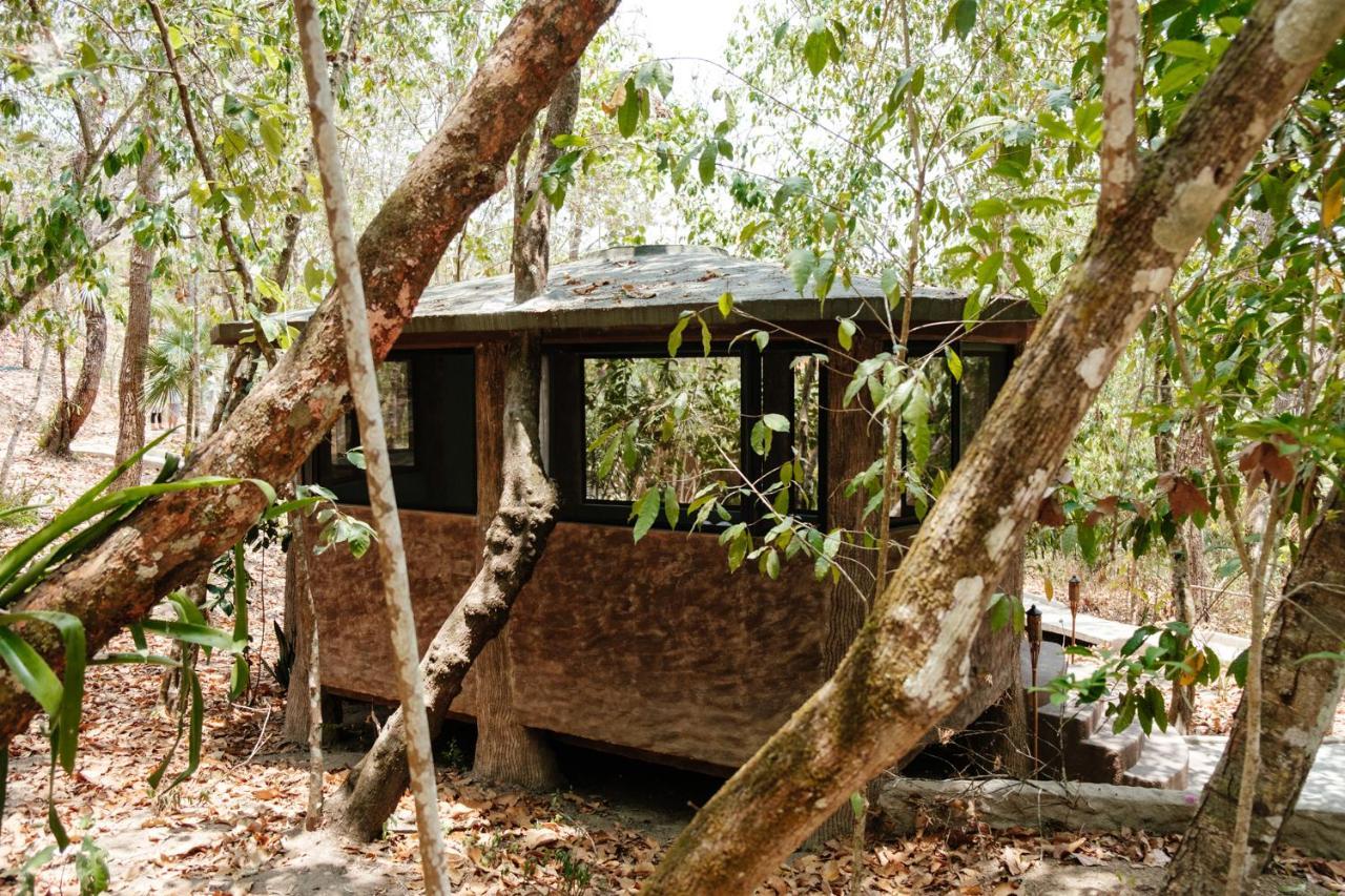 Equilibrium Healing Resort Cabo Corrientes 외부 사진