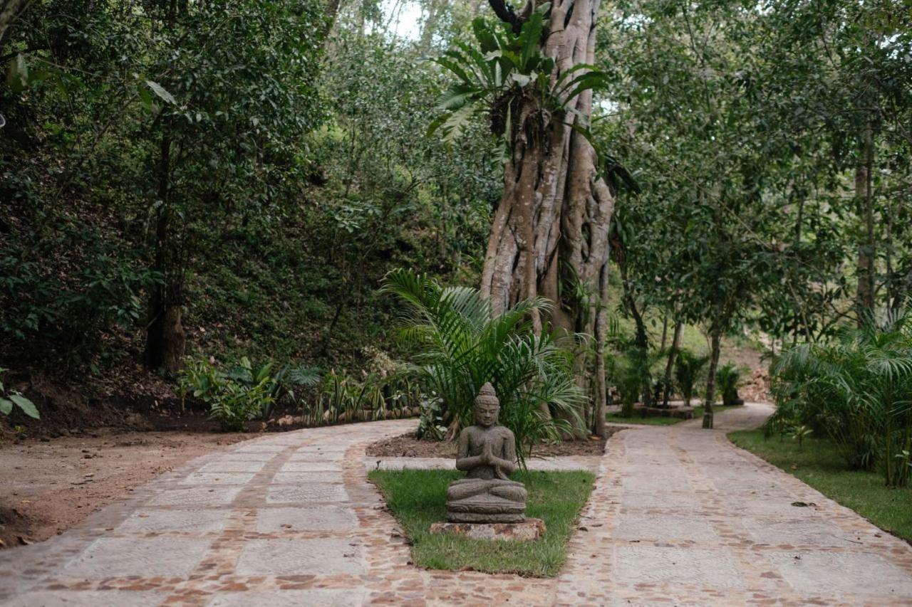 Equilibrium Healing Resort Cabo Corrientes 외부 사진